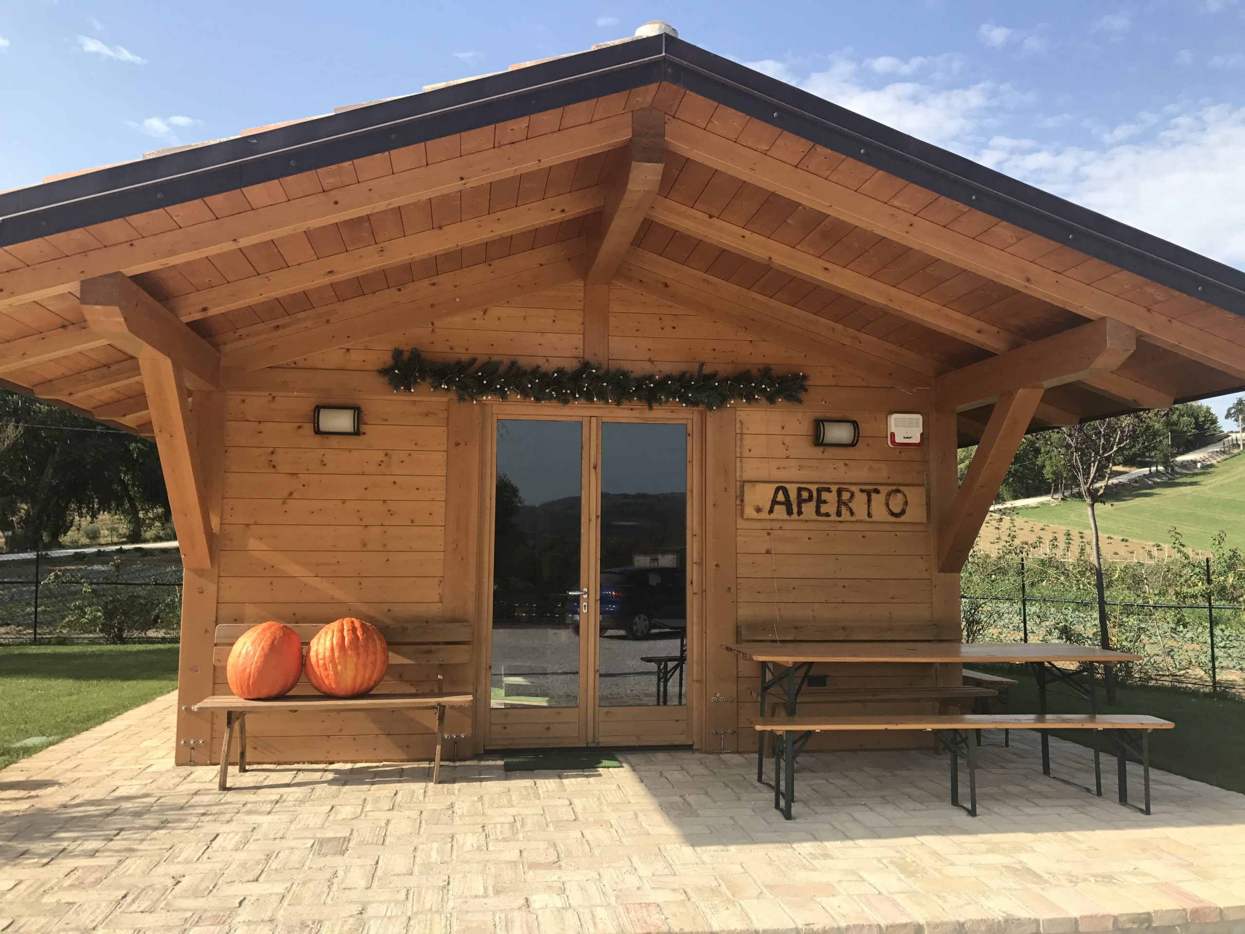 descrizione immagine