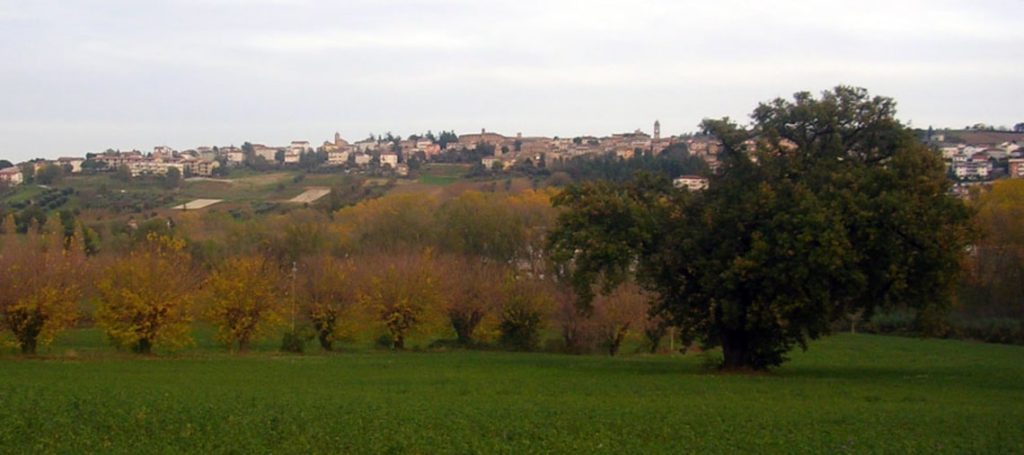 La cerqua grossa